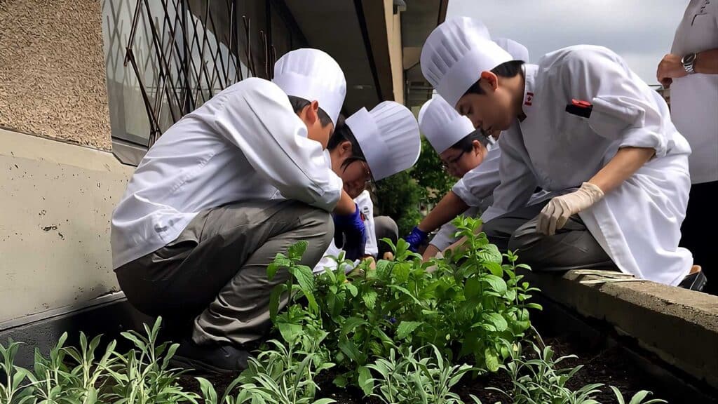 Four culinary students in white chef hats crouch down to tend to herbs in a small outdoor garden.