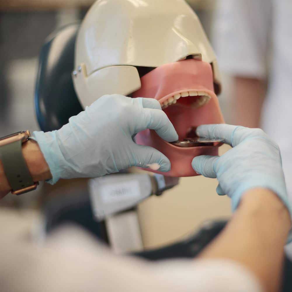 A dental professional wearing blue gloves practicing a procedure on a dental training mannequin's mouth and teeth.