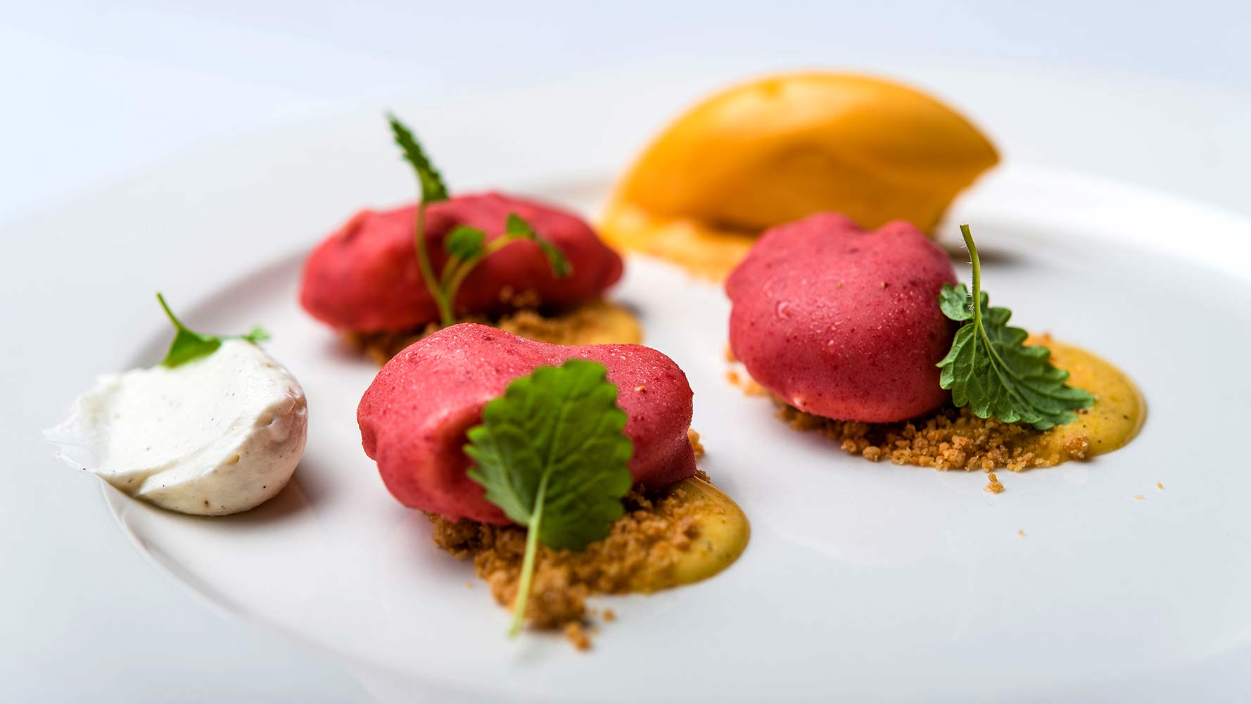sophisticated dessert presentation consisting of red berry mousse, a scoop of mango sorbet, and crumble on a white plate.