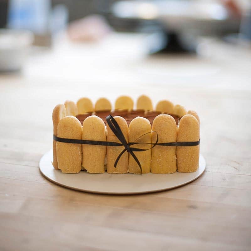 A tiramisu or charlotte cake surrounded by ladyfinger biscuits and tied with a decorative thin black ribbon.