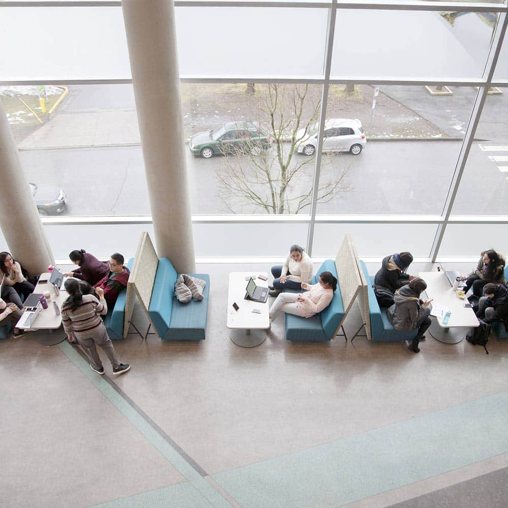 An airy, high-ceilinged lounge with floor-to-ceiling windows provides a scenic space for students to study in semi-private booths.