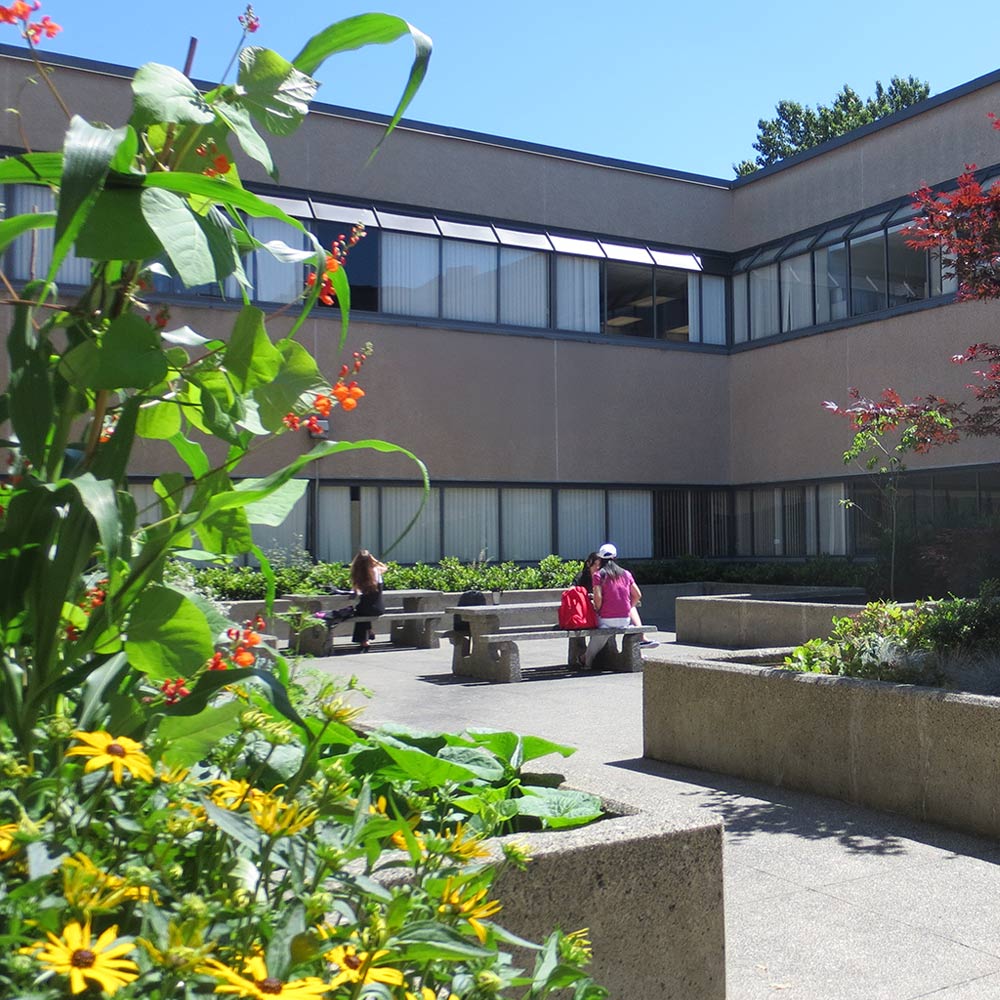 Students enjoy a sunny afternoon in a landscaped outdoor courtyard featuring concrete picnic tables and vibrant floral gardens.
